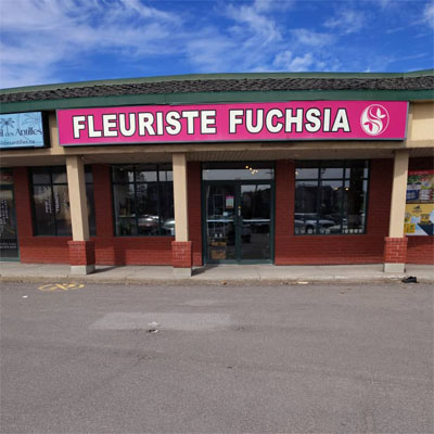 Fleuriste Fuchsia