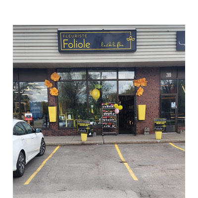 FLEURISTE FOLIOLE
