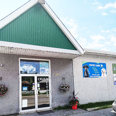 CHIENS Centre Canin ça c'est Chiens