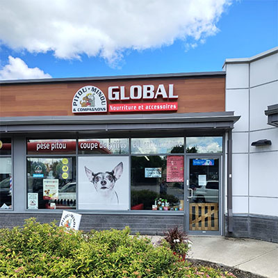 GLOBAL Pitou-Minou & compagnons