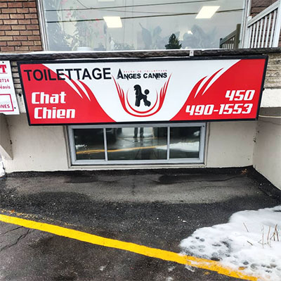 FRESH PAW Toilettage pour chiens